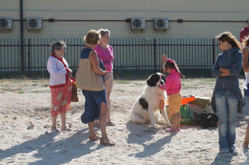 Фотография № 162659