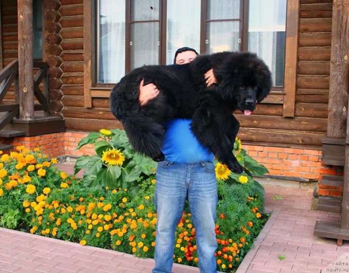 Фотография № 162672