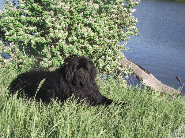 Фотография № 162676