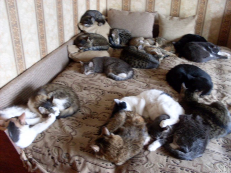 Фотография № 162687