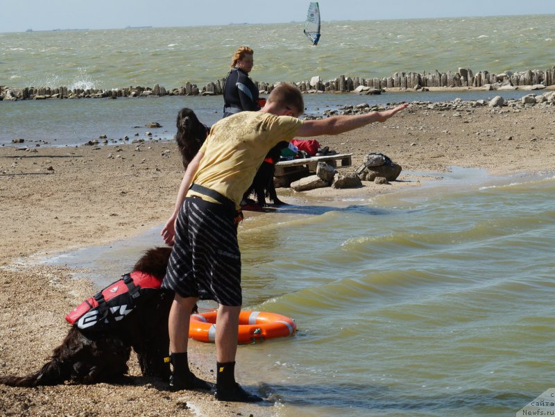 Фотография № 162691