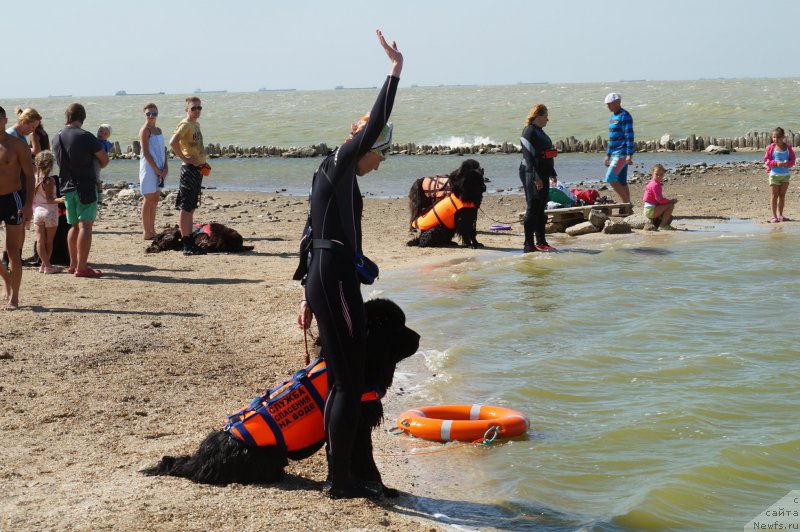 Фотография № 162692