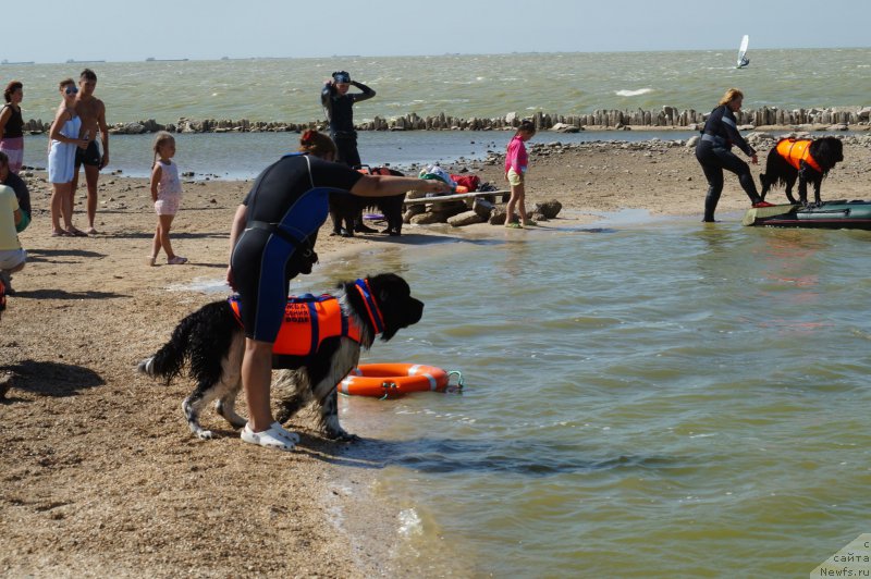 Фотография № 162694