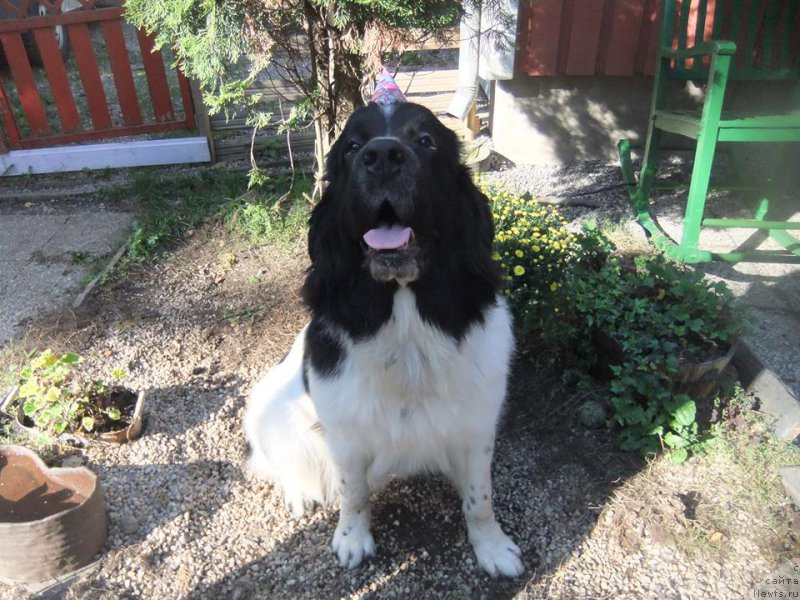 Фотография № 162697