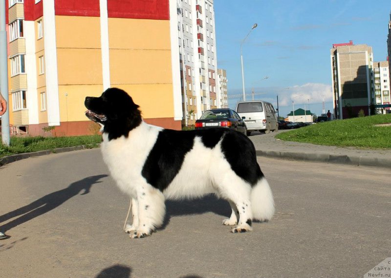 Фотография № 162698