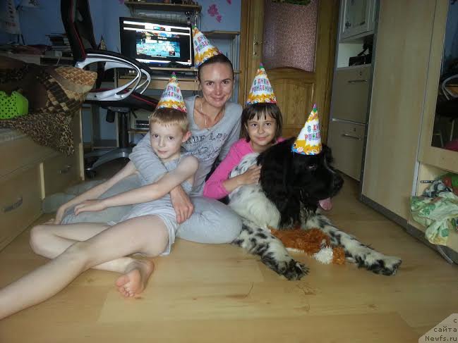 Фото: ньюфаундленд Флюфи Аваланч Падишах