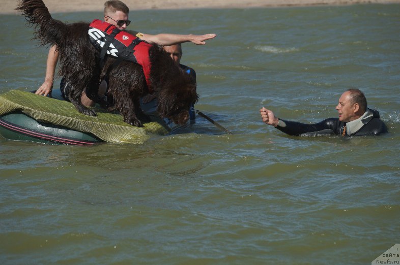 Фотография № 162700