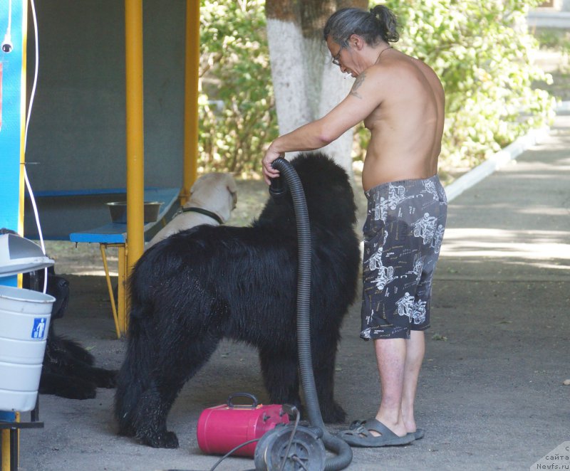 Фотография № 162702