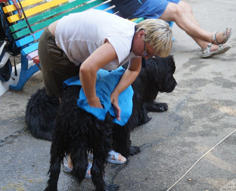 Фотография № 162705