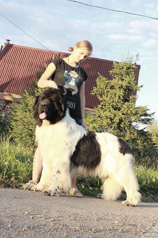 Фотография № 162709