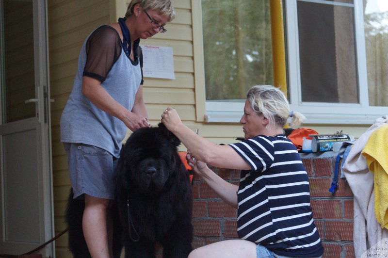 Фотография № 162710