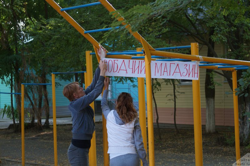 Фотография № 162742