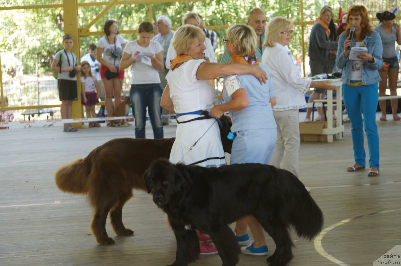 Фотография № 162745