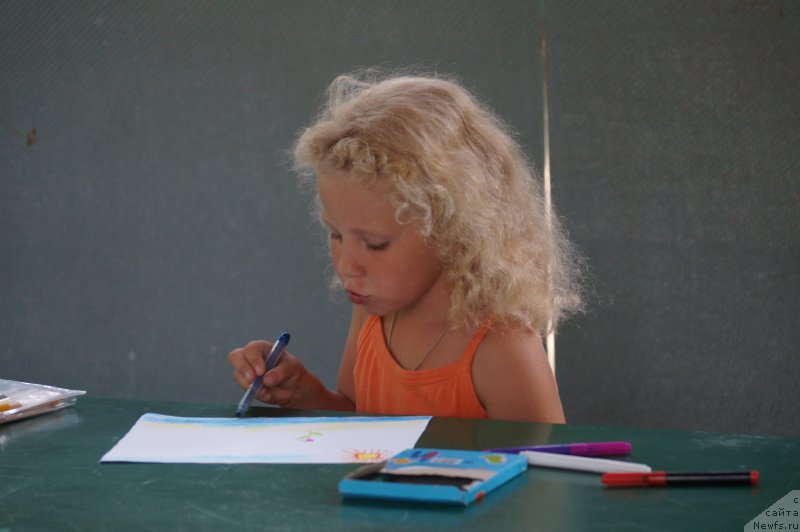 Фотография № 162747