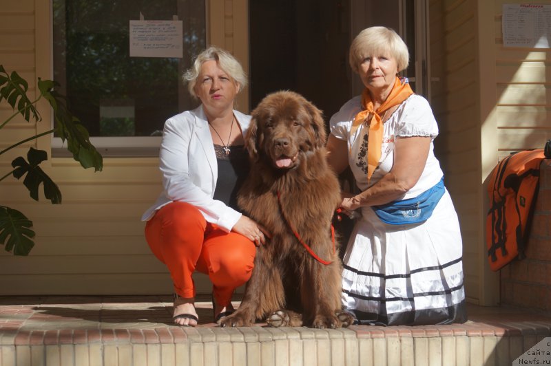 Фотография № 162749