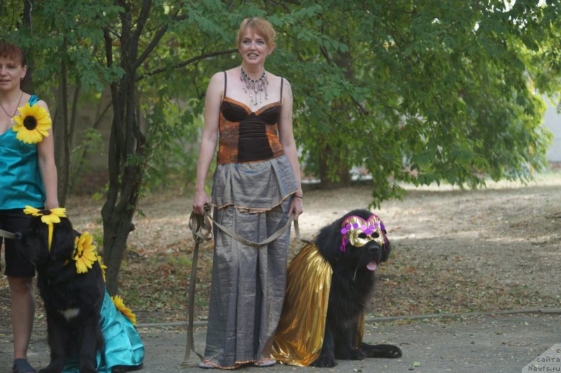 Фотография № 162750