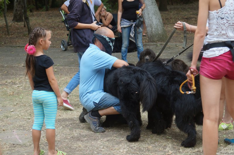 Фотография № 162752