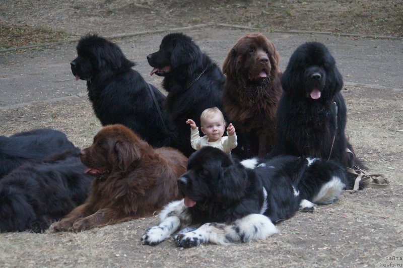 Фотография № 162753