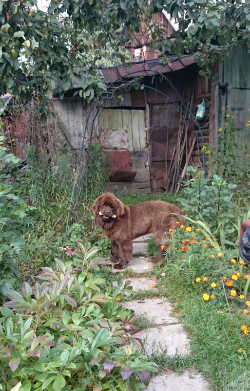 Фотография № 162758