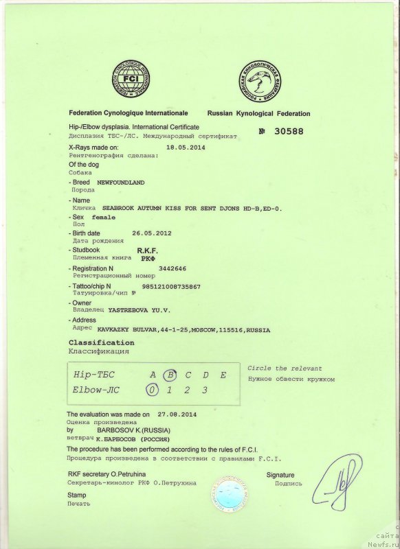 Фотография № 162759