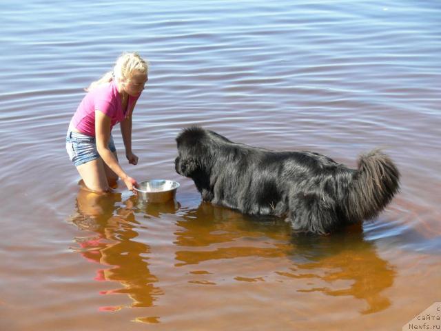 Фотография № 16277