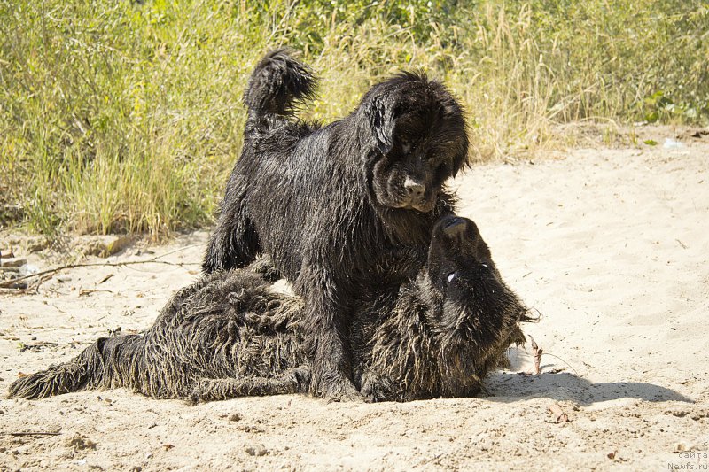 Фотография № 162770