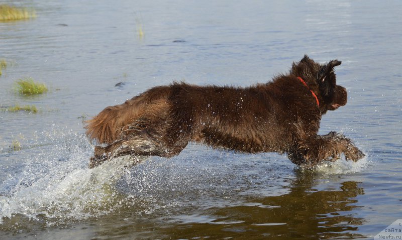 Фотография № 162779