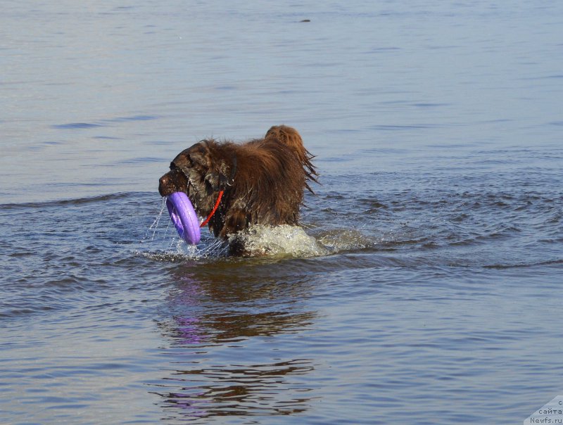 Фотография № 162784