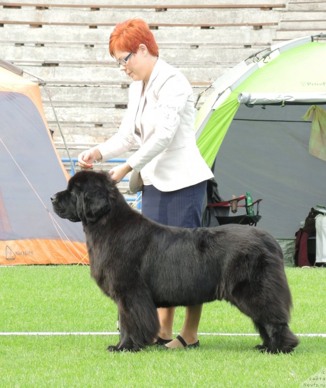 Фото: Wave Seeker`s Sleeping Satellite