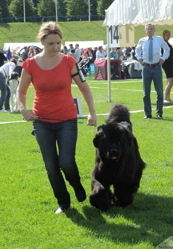 Фото: Waterbear Darwin