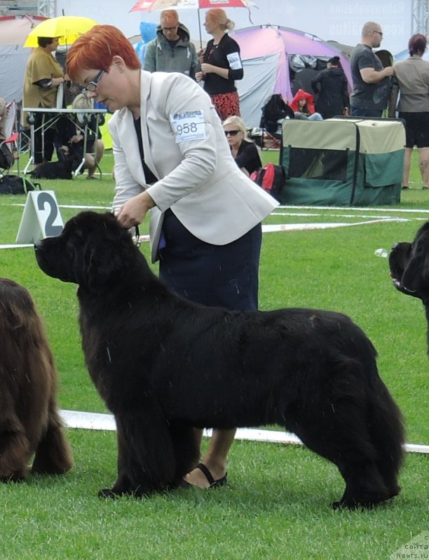 Фото: Wave Seeker`s Sleeping Satellite