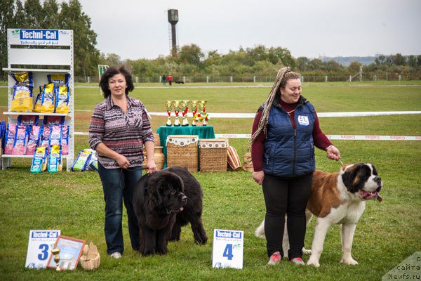 Фотография № 162876