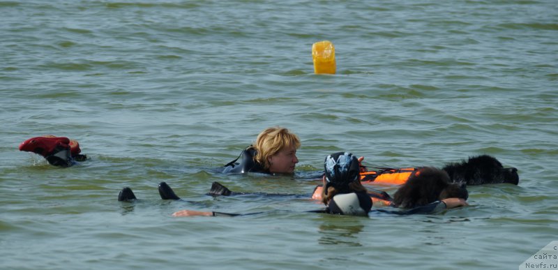 Фотография № 162950