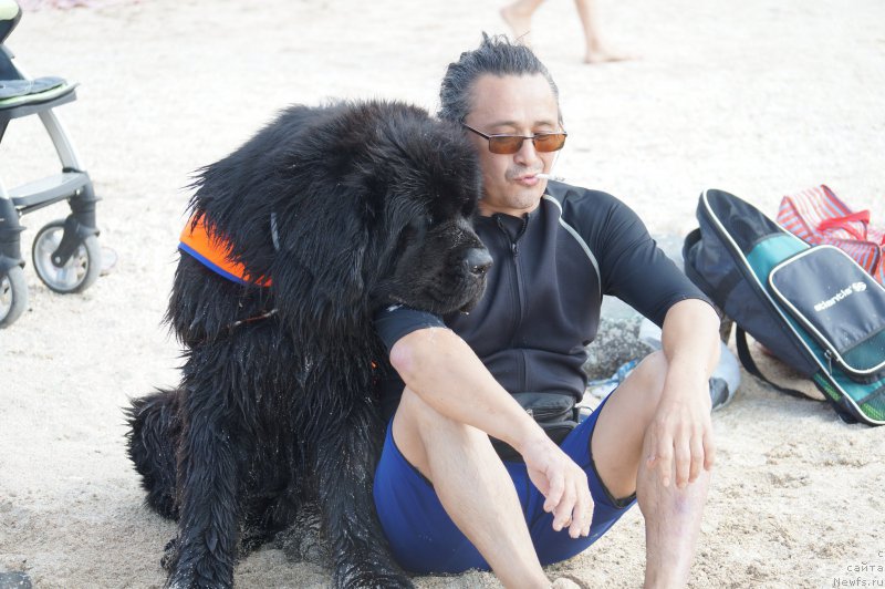 Фотография № 162983