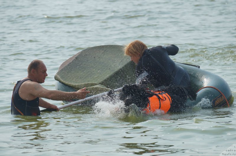 Фотография № 162984