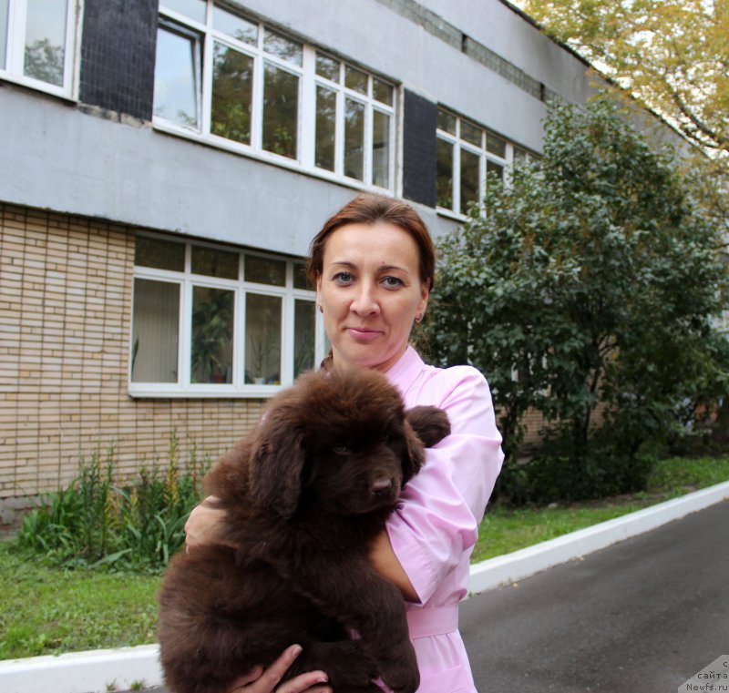 Фотография № 162987