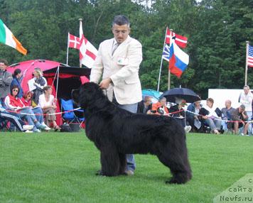 Фотография № 16299