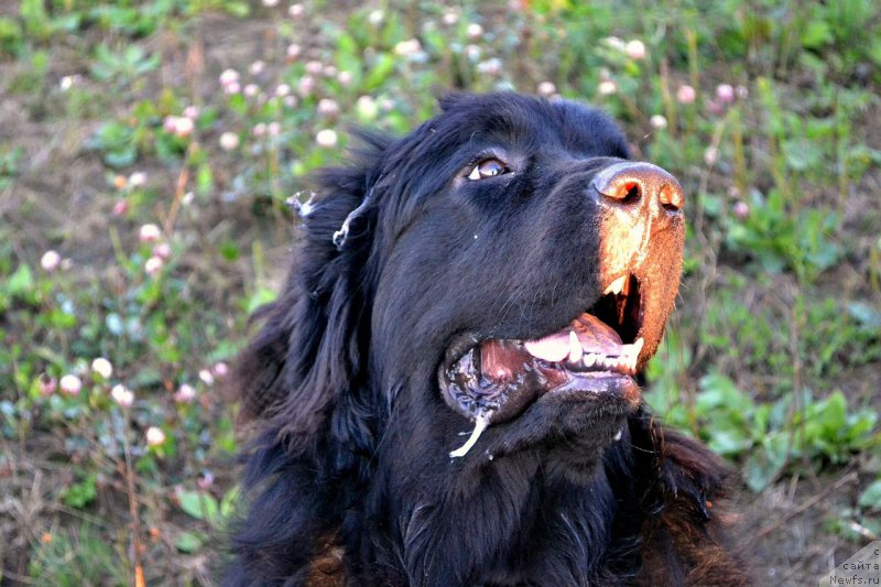 Фотография № 163009