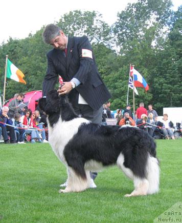 Фотография № 16301