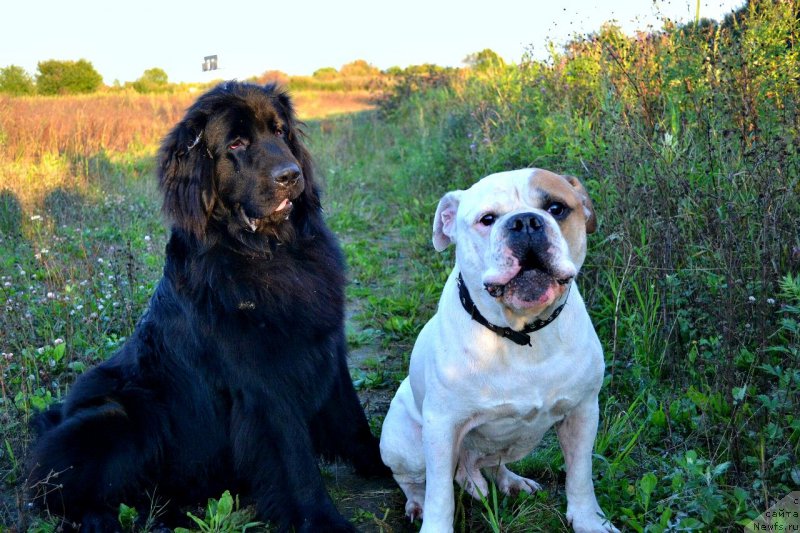 Фотография № 163010