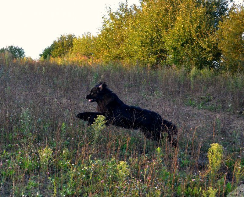 Фотография № 163011