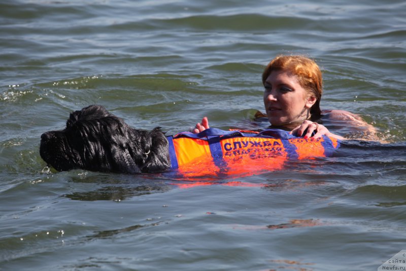 Фотография № 163035