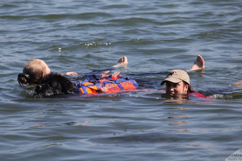 Фото: Ольга Музычук, ньюфаундленд Black Blues iz Volotova, Александра Фетисова