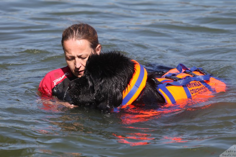 Фотография № 163038