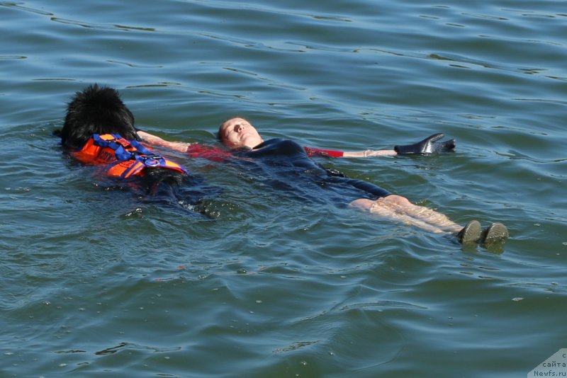 Фото: ньюфаундленд Бегущая по Волнам Фогет Ми Нот, Антонина Чигвинцева