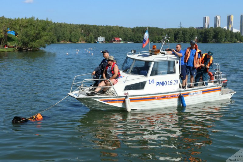 Фотография № 163044