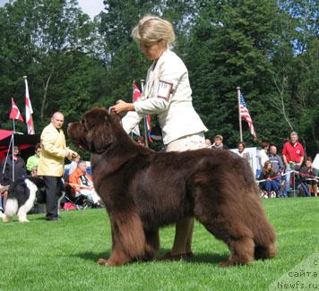 Фотография № 16305