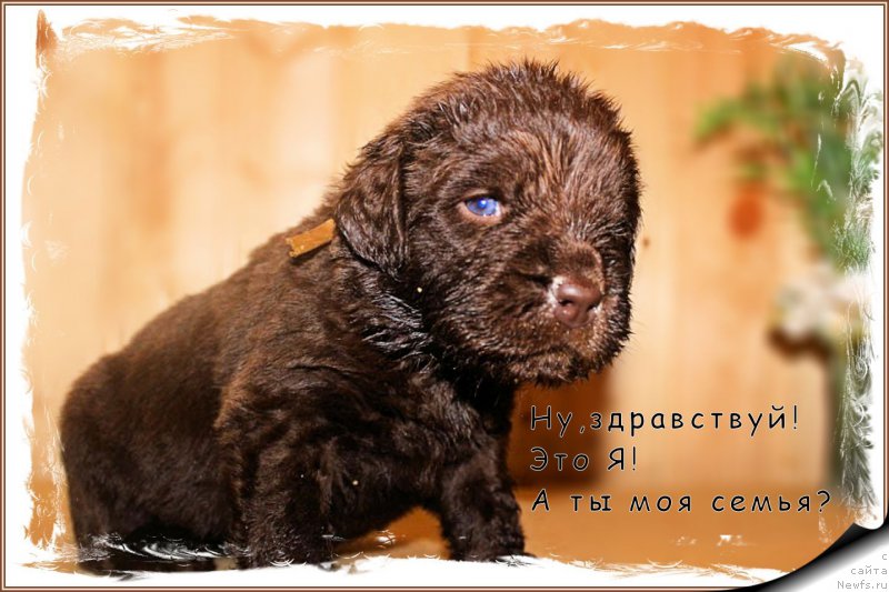 Фотография № 163053