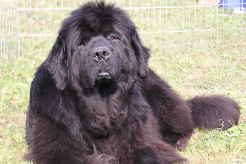 Фотография № 163054