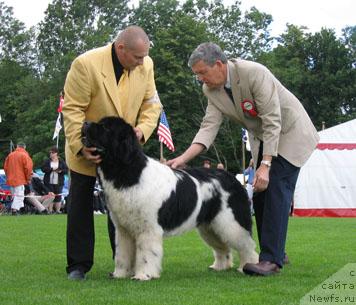 Фотография № 16306